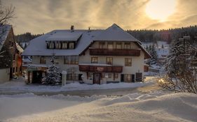 Landhotel Und Apartments Sonneck